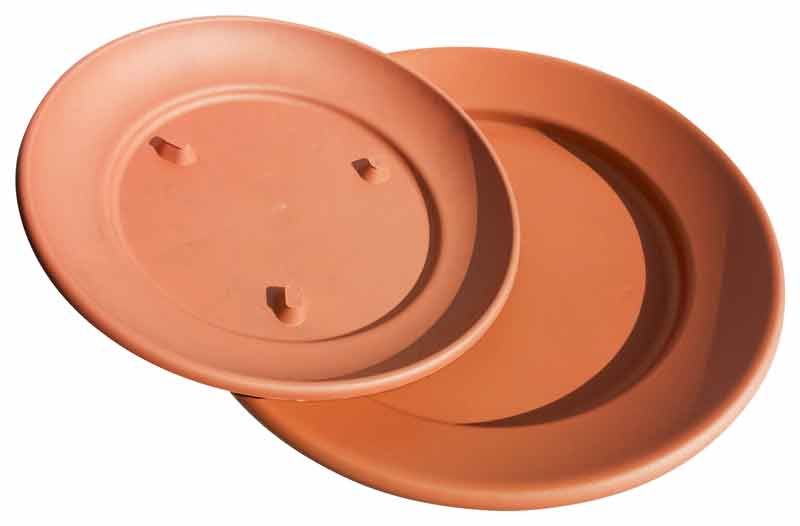 sottovaso per ciotola andromeda - vaso da coltivazione