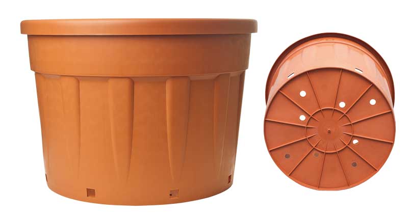 vaso fenice color terracotta - vaso da coltivazione