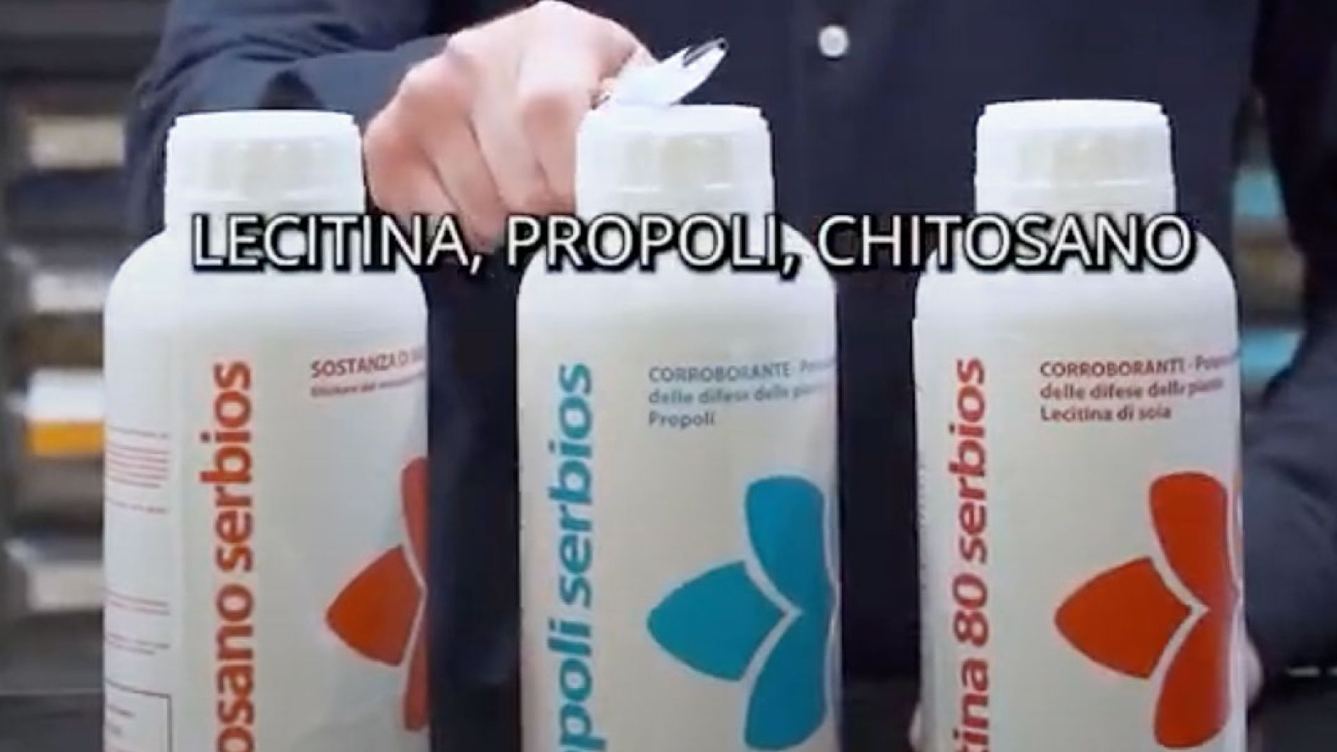 Lotta agli insetti dannosi