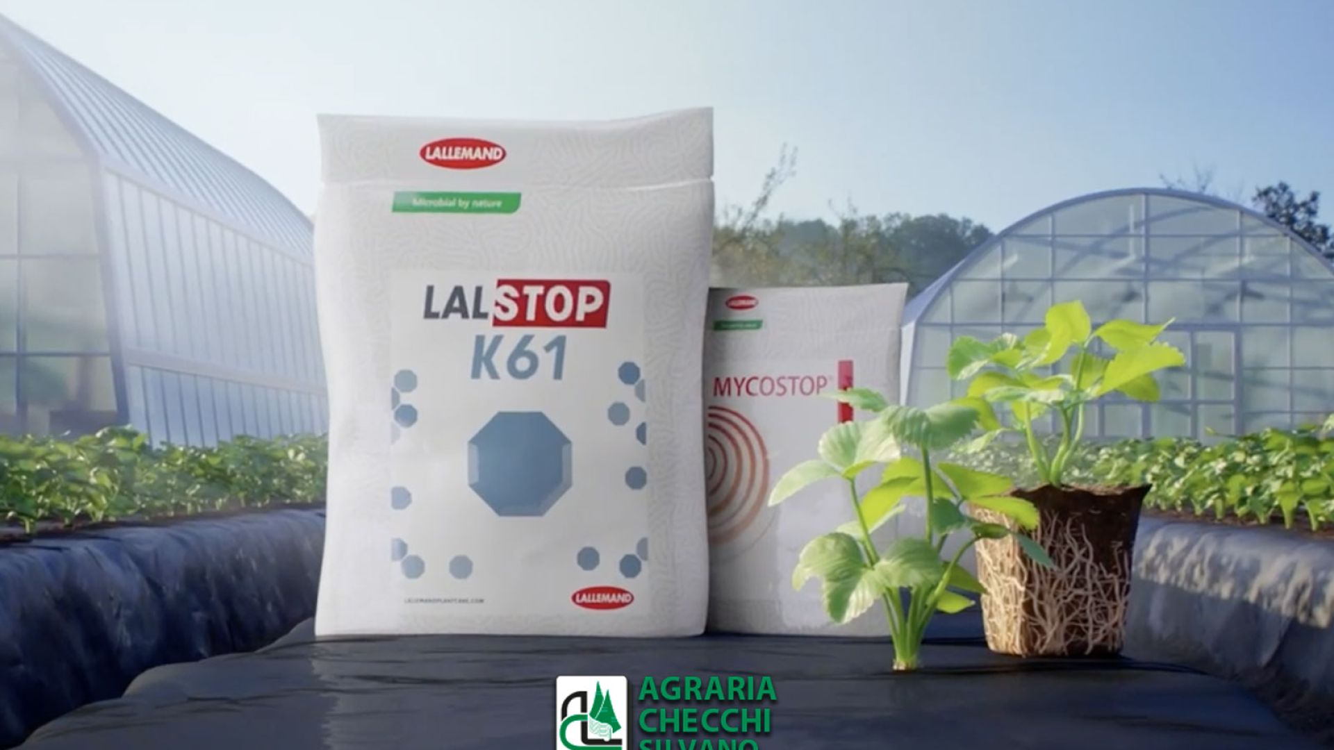 Lalguard M52 OD, insetticida biologico