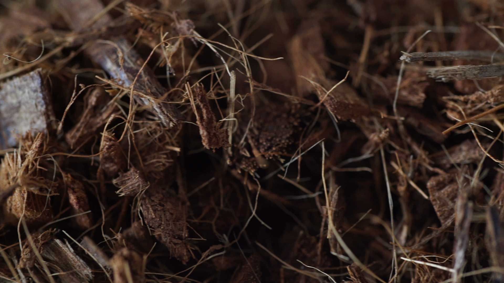 terriccio naturale con chips