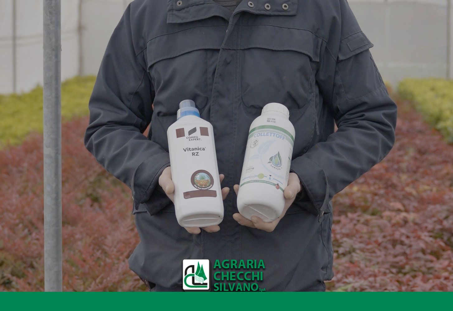 Radici sane e piante forti: quando usare Vitanica RZ e Collettoff