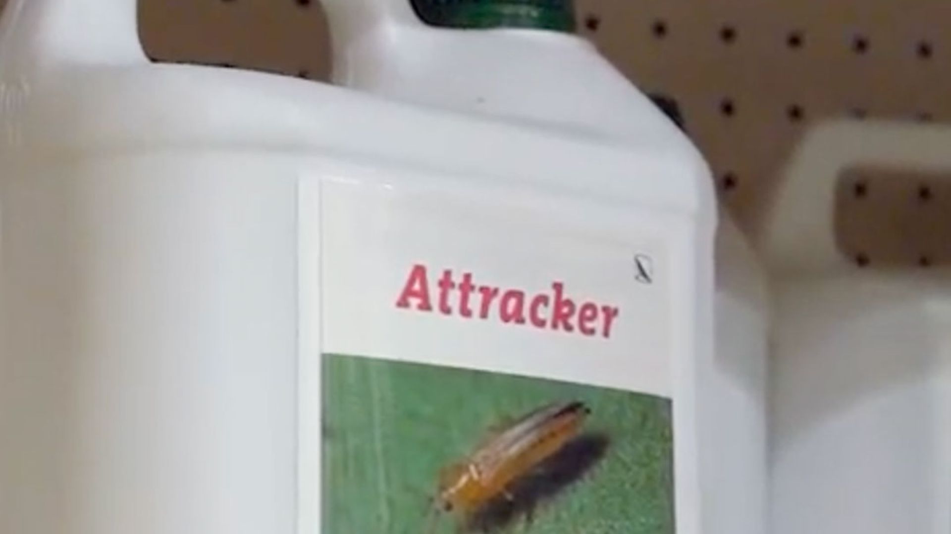 Lotta agli insetti dannosi