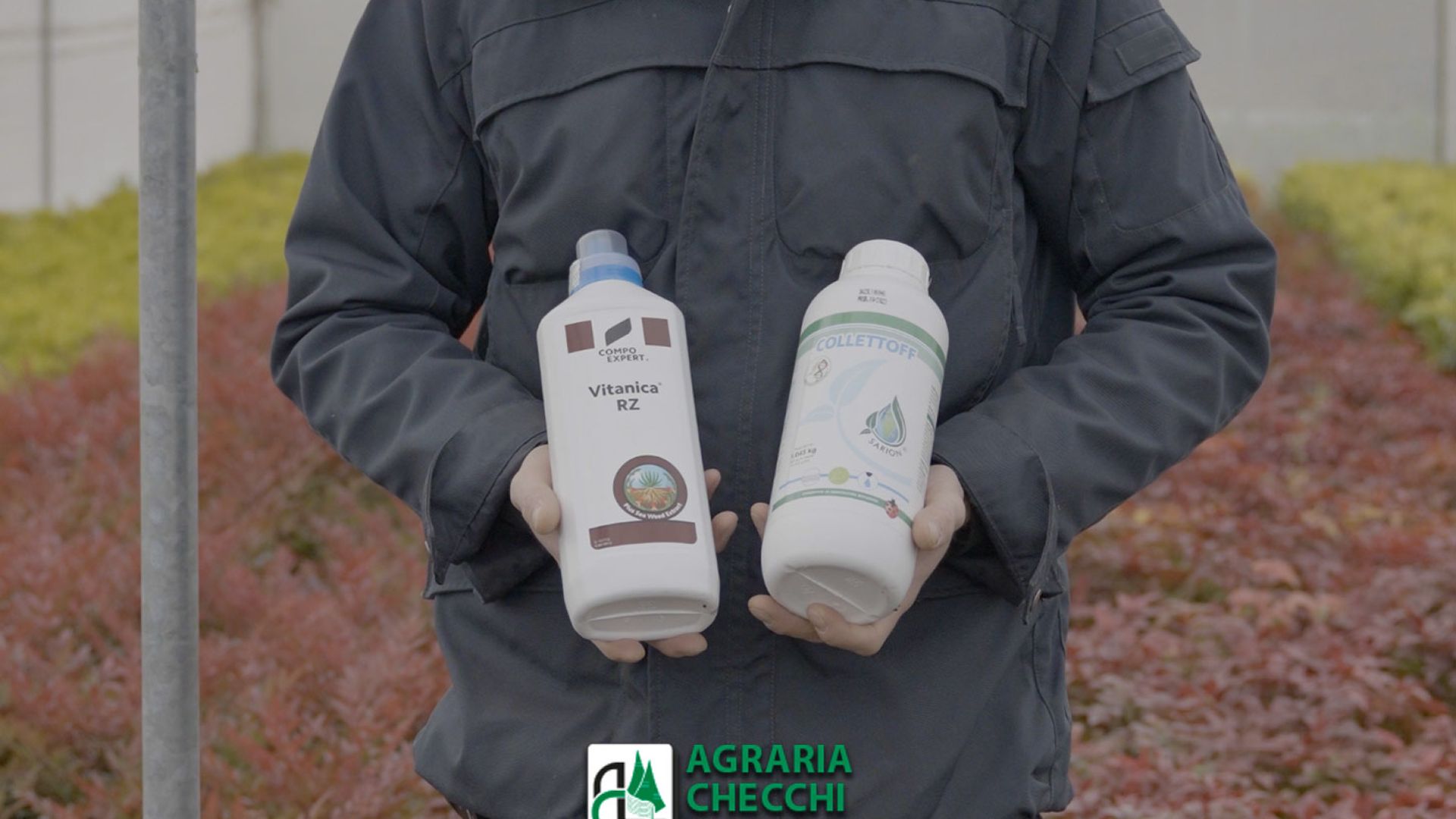 Radici sane e piante forti: quando usare Vitanica RZ e Collettoff